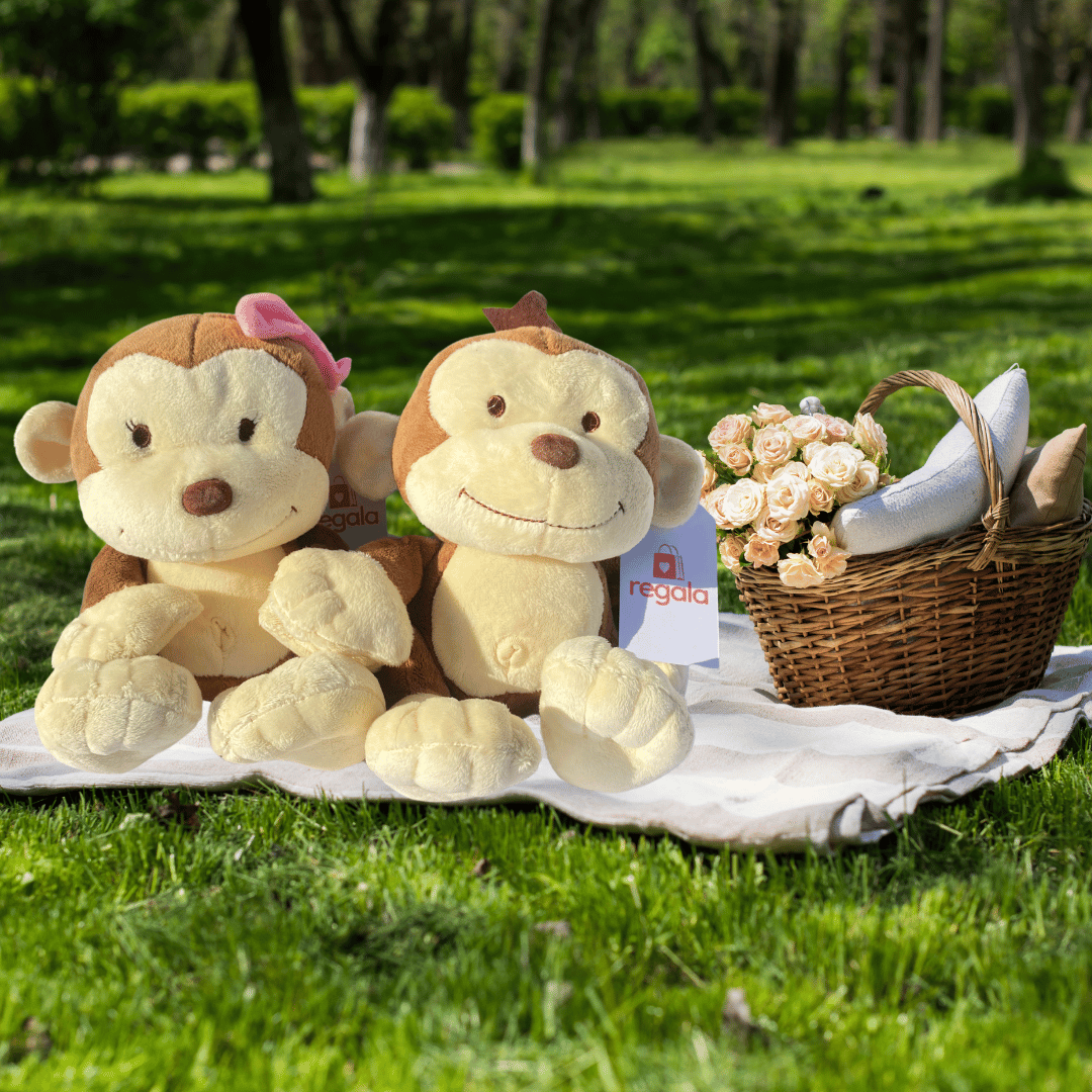 Peluches Monkey, Monkey Guapo y Monkey Chula Regala Sentados en picnic