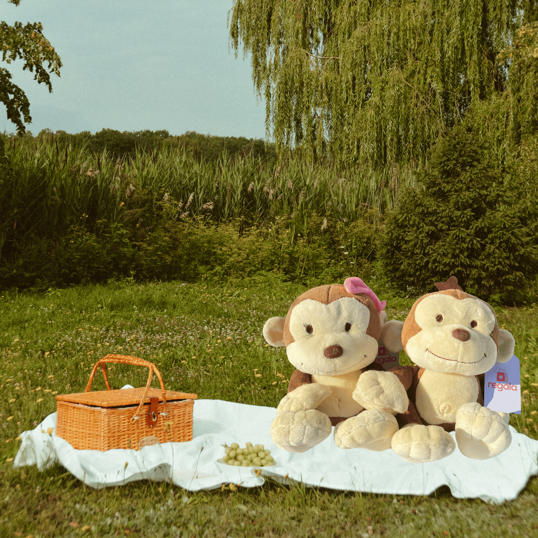 Peluches Monkey, Monkey Guapo y Monkey Chula Regala Sentados en dia de campo