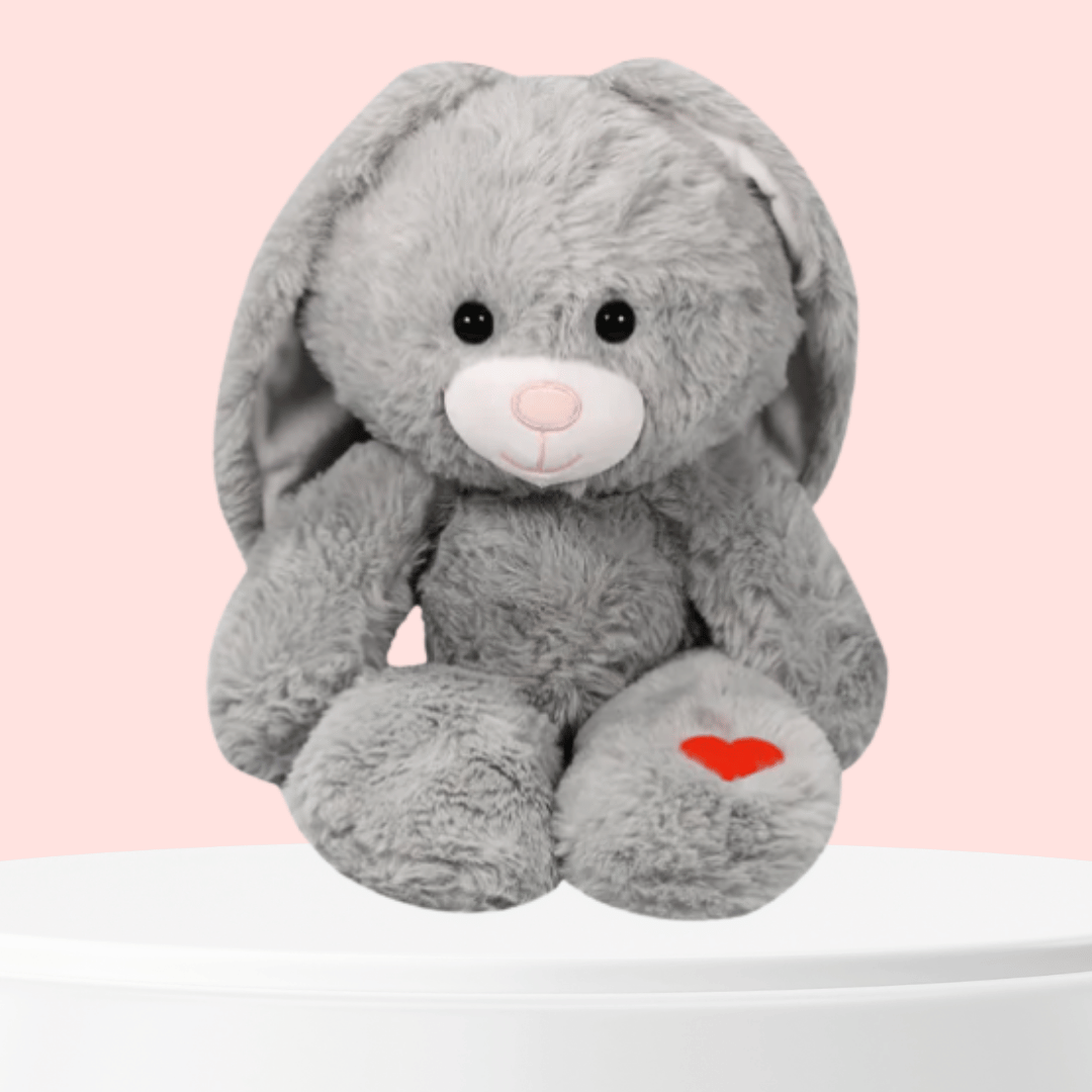 Peluche Conejo San Valentin Gris Orejas blancas y Corazon Rojo Regala Sentado frente