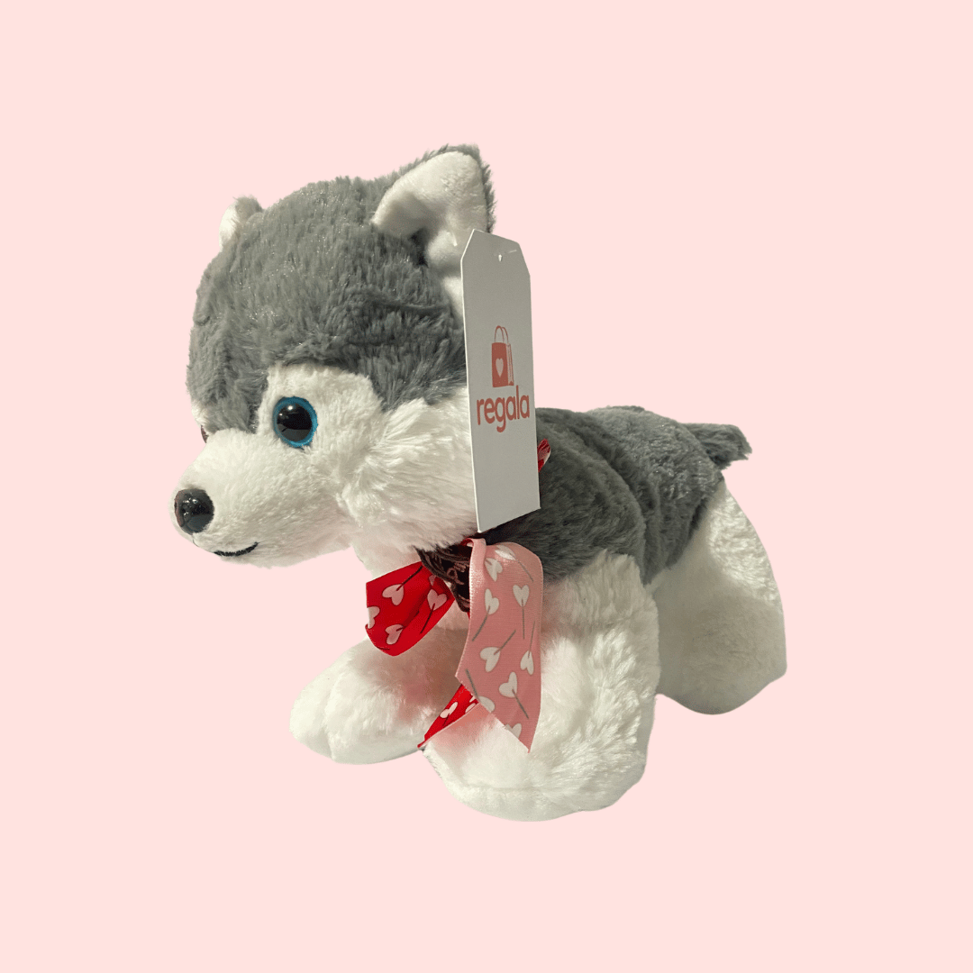 Peluche Perrito Husky Liston Rojo 28cm Regala Vista Derecha Fondo Rosa Regala