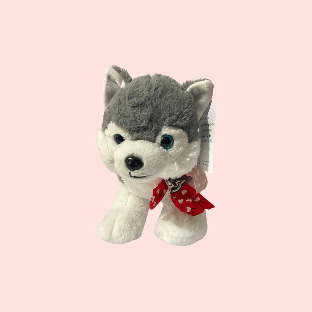 Peluche Perrito Husky Pañuelo Rojo 28cm Regala Vista Frente Fondo Rosa Regala